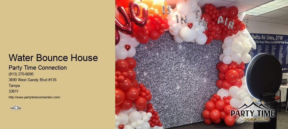 Party Rentals Tampa FL Party Time Connection